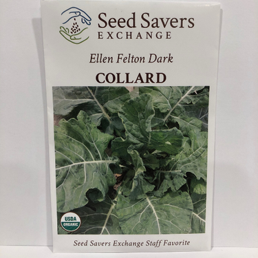 Ellen Felton Dark Collard, pre-1935 heirloom, Organic